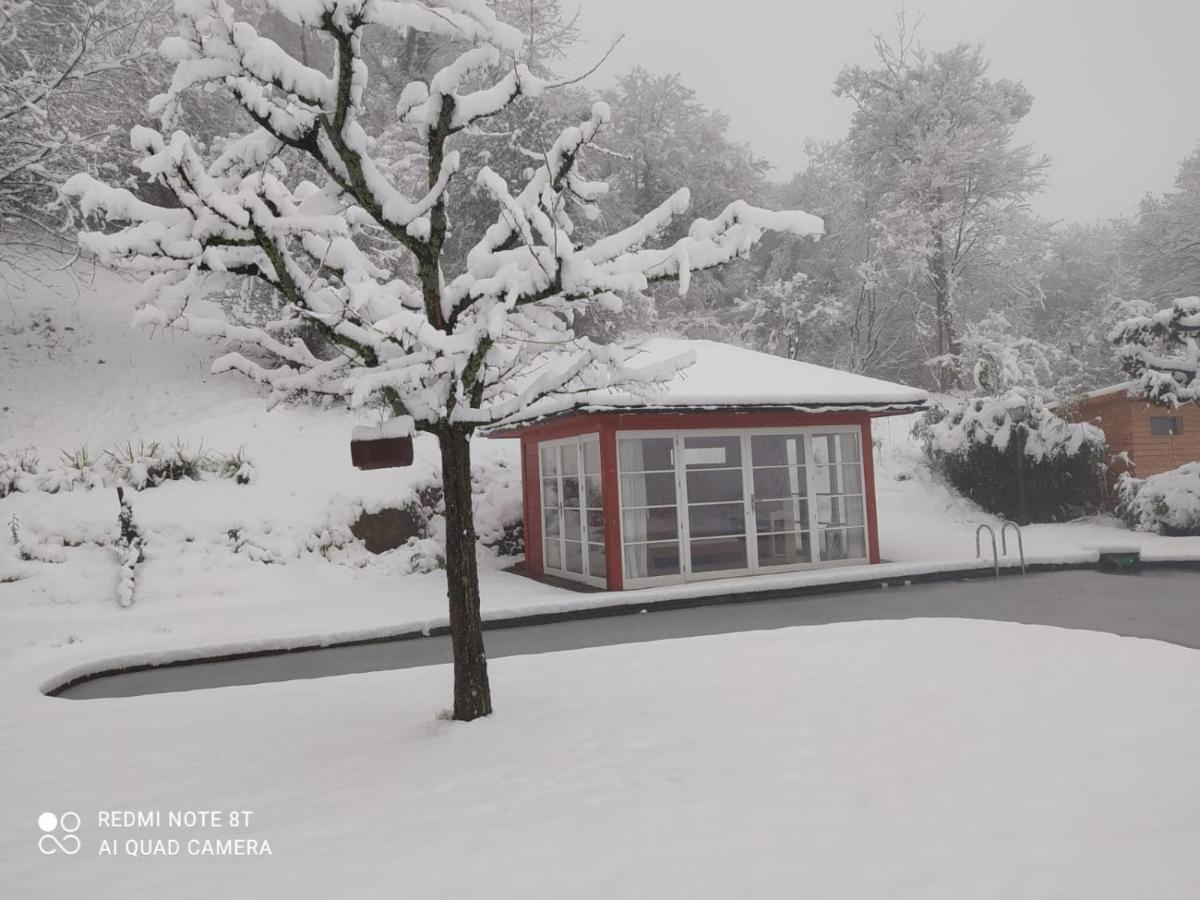 Paradies 1 *